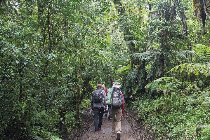 Marangu Route 5 Days - Mount Kilimanjaro Climbing - Image 6