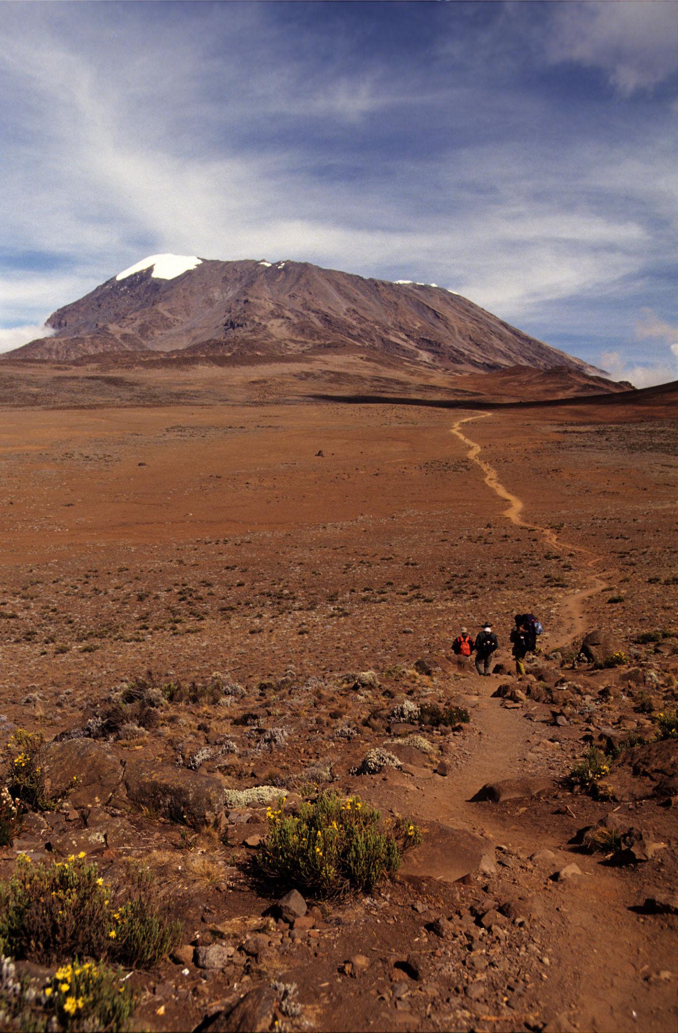 Rongai Route 6 Days - Mount Kilimanjaro Climbing - Image 3
