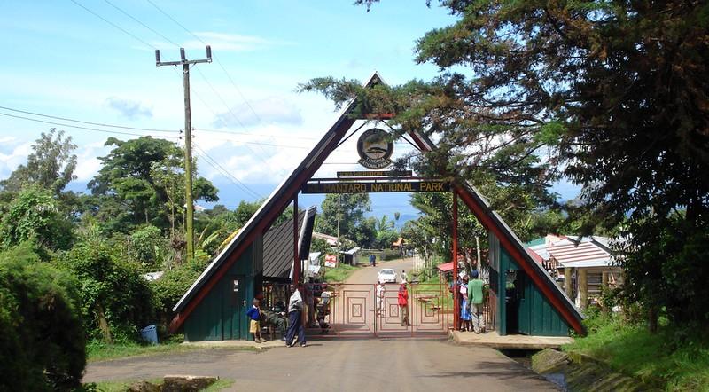 Marangu Route 5 Days - Mount Kilimanjaro Climbing - Image 8