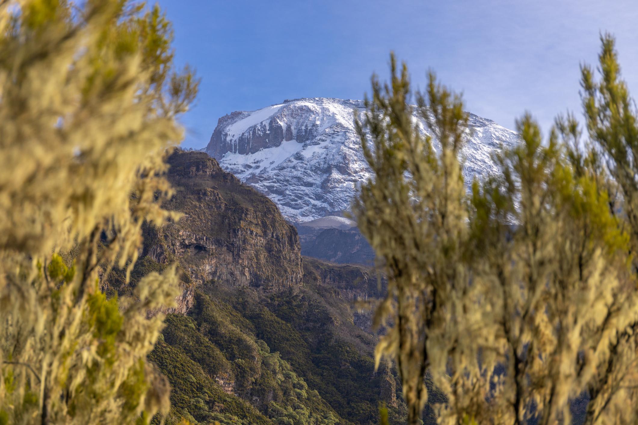 Rongai Route 6 Days - Mount Kilimanjaro Climbing - Image 5