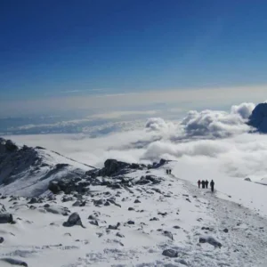 Lemosho Route 8 Days - Mount Kilimanjaro Climbing