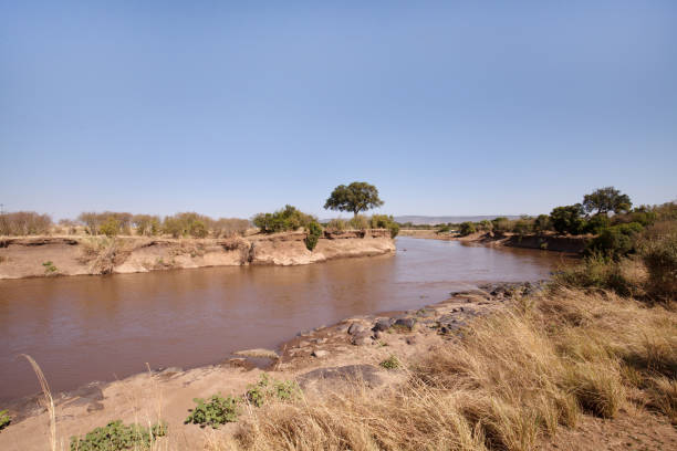 6 Days Semi-Luxury Great Migration Safari - Image 2