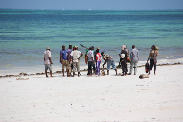 4-Day Luxury Tanzania Fly-In Safari from Zanzibar - Image 4