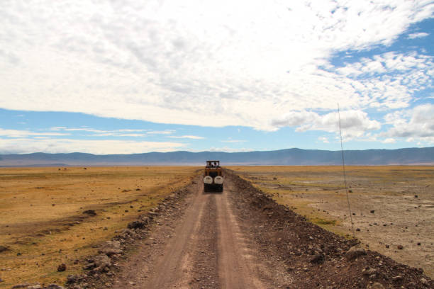 4-Day Luxury Tanzania Fly-In Safari from Zanzibar - Image 3