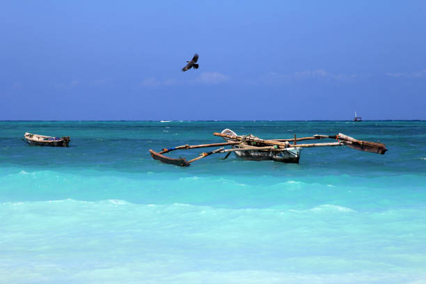 4-Day Luxury Tanzania Fly-In Safari from Zanzibar - Image 2