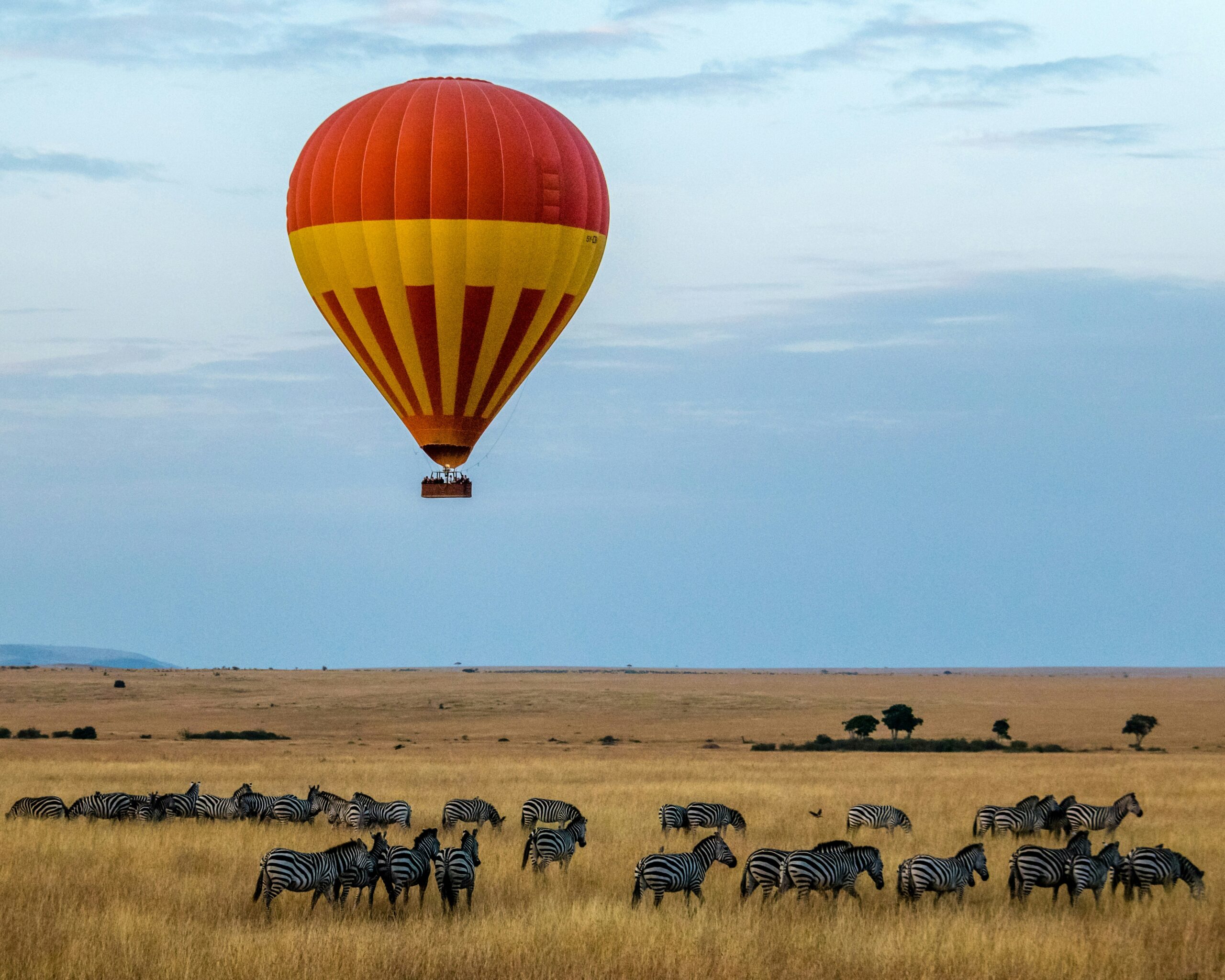 5-Day Great Migration Safari - Image 4