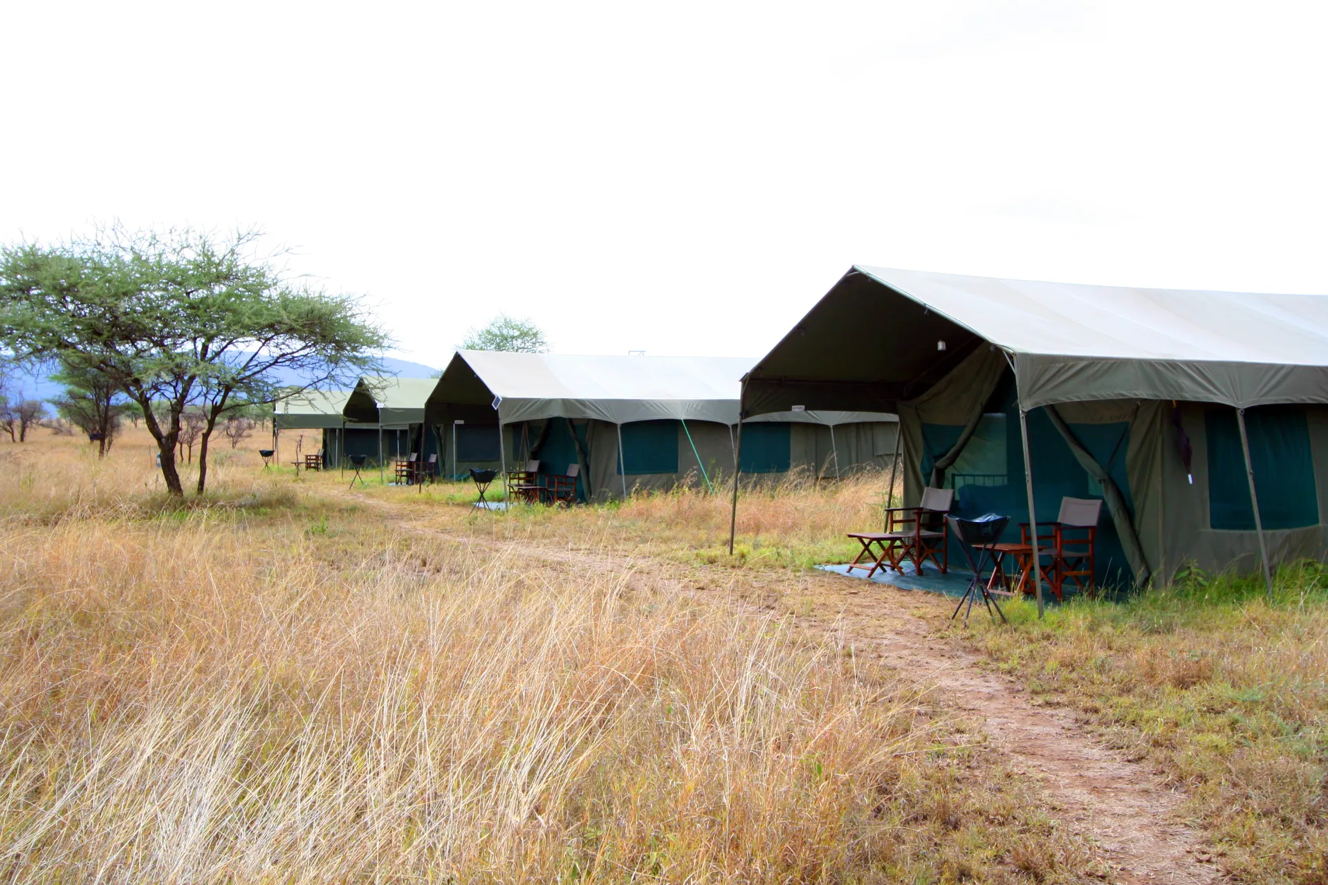 Serengeti national park gal2