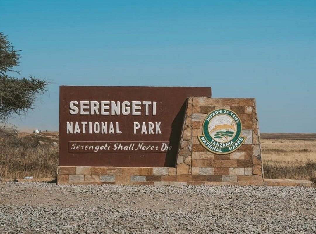 Serengeti national park gal4
